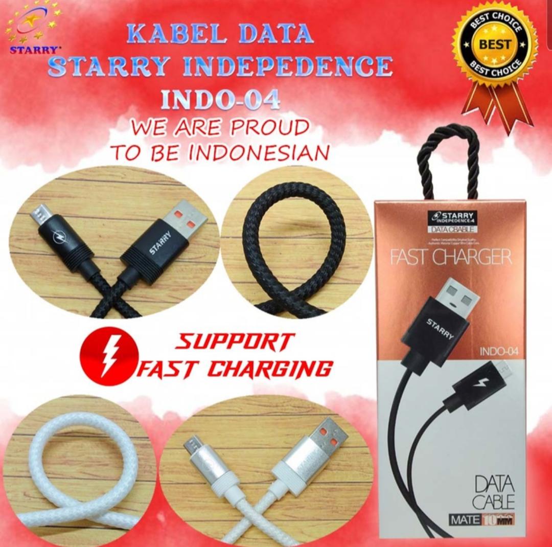 KABEL DATA STARRY INDEPEDENCE INDO-04